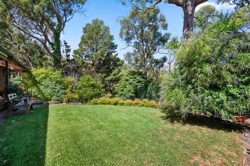 Photo - 87 Upper Sturt Road, Upper Sturt SA 5156 - Image 12