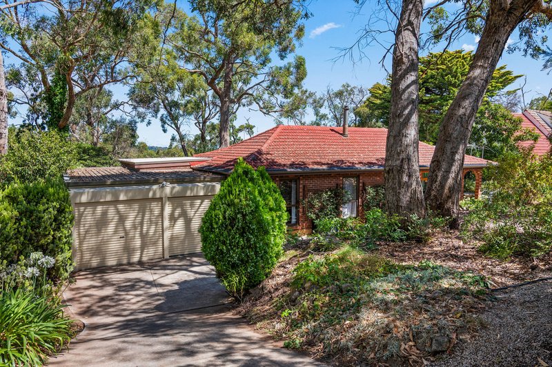 Photo - 87 Upper Sturt Road, Upper Sturt SA 5156 - Image 21