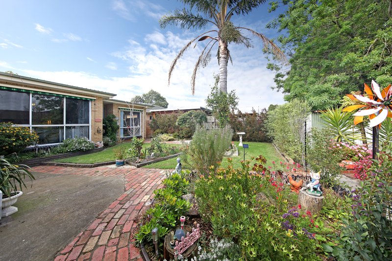 Photo - 87 Victor Road, Bentleigh East VIC 3165 - Image 11