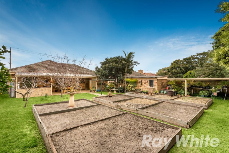 Photo - 87 Warrigal Road, Surrey Hills VIC 3127 - Image 8