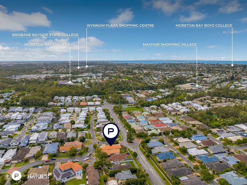 Photo - 87 Williams Street, Wakerley QLD 4154 - Image 20