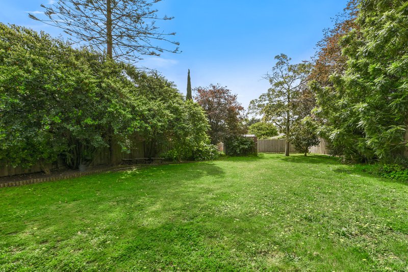 Photo - 87 Winmalee Drive, Glen Waverley VIC 3150 - Image 6