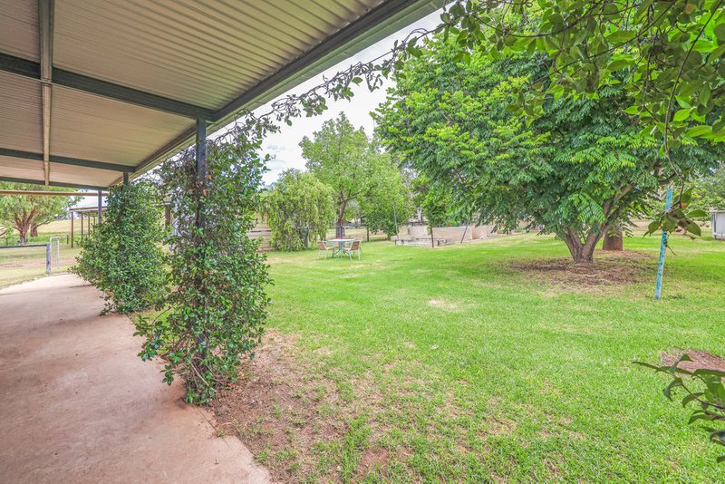 Photo - 87 Wisemans Arm Road, Tamworth NSW 2340 - Image 10