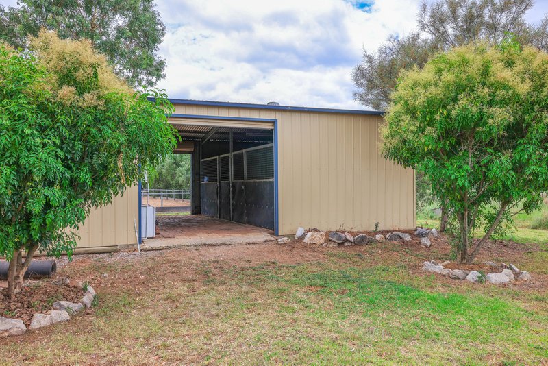 Photo - 87 Wisemans Arm Road, Tamworth NSW 2340 - Image 11