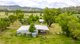 Photo - 87 Wisemans Arm Road, Tamworth NSW 2340 - Image 15