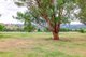 Photo - 87 Wisemans Arm Road, Tamworth NSW 2340 - Image 16