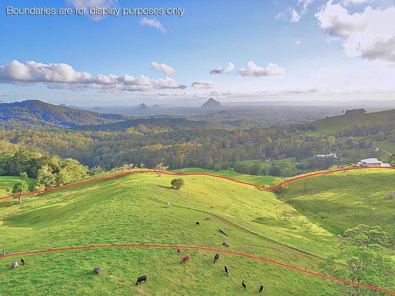 Photo - 870 Bald Knob Road, Bald Knob QLD 4552 - Image 3