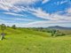 Photo - 870 Bald Knob Road, Bald Knob QLD 4552 - Image 4