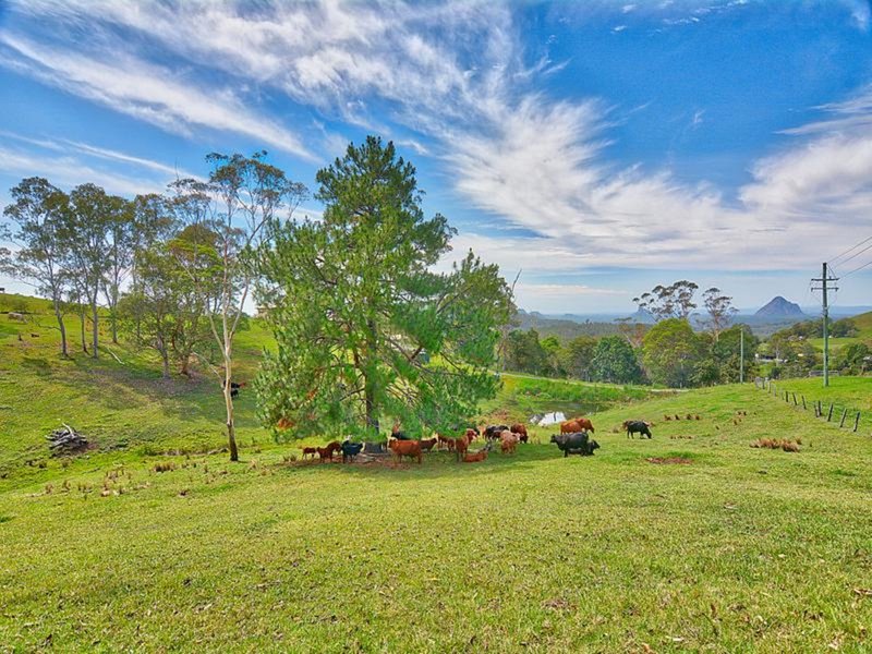 Photo - 870 Bald Knob Road, Bald Knob QLD 4552 - Image 8