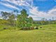 Photo - 870 Bald Knob Road, Bald Knob QLD 4552 - Image 8