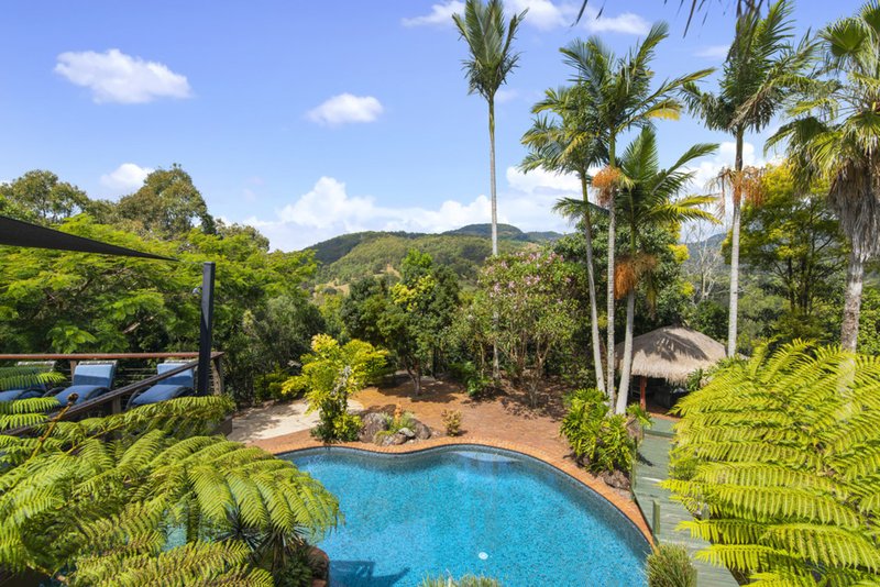 Photo - 870 Tallebudgera Creek Road, Tallebudgera Valley QLD 4228 - Image 2