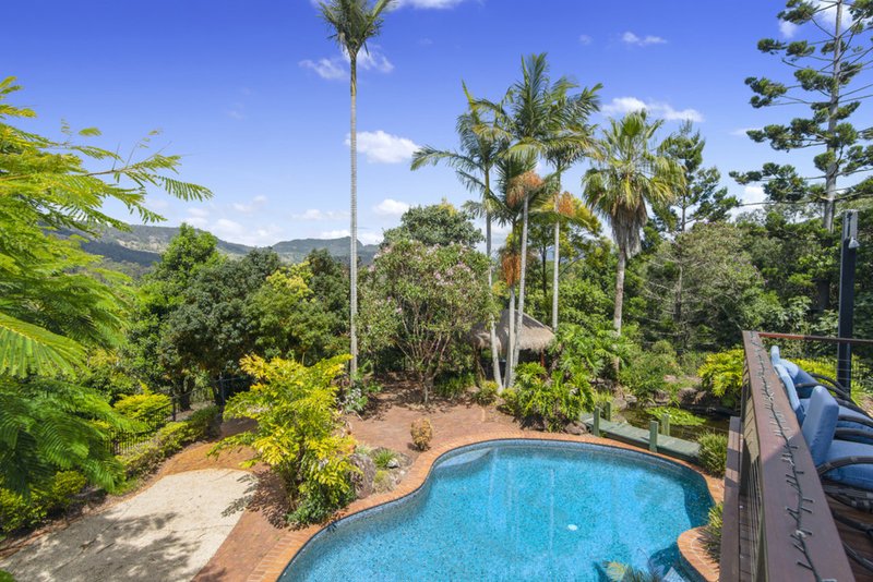 Photo - 870 Tallebudgera Creek Road, Tallebudgera Valley QLD 4228 - Image 15