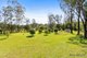 Photo - 874 Princes Highway, Mogo NSW 2536 - Image 14