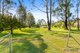 Photo - 874 Princes Highway, Mogo NSW 2536 - Image 16