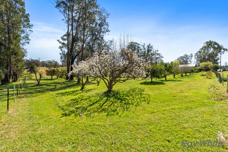 Photo - 874 Princes Highway, Mogo NSW 2536 - Image 17