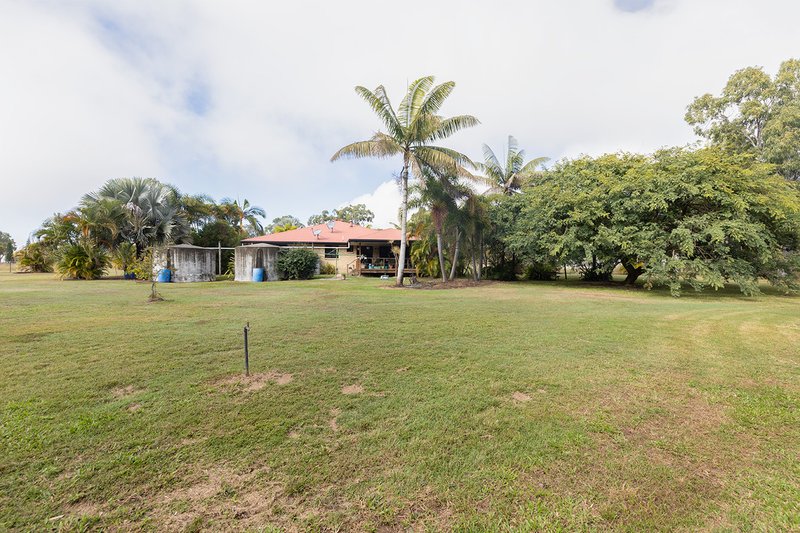 Photo - 875 Greenhill Road, Ilbilbie QLD 4738 - Image 14