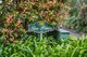 Photo - 8/78 Bendooley Street, Bowral NSW 2576 - Image 5