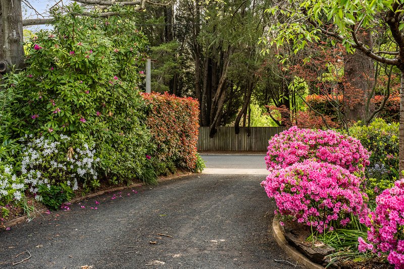 Photo - 8/78 Bendooley Street, Bowral NSW 2576 - Image 15