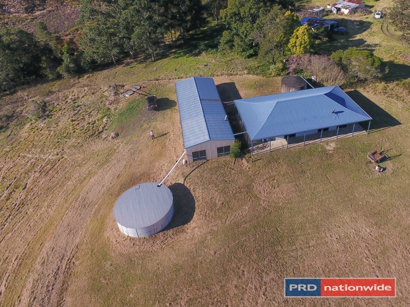 Photo - 879 Gradys Creek Road, Kyogle NSW 2474 - Image 17