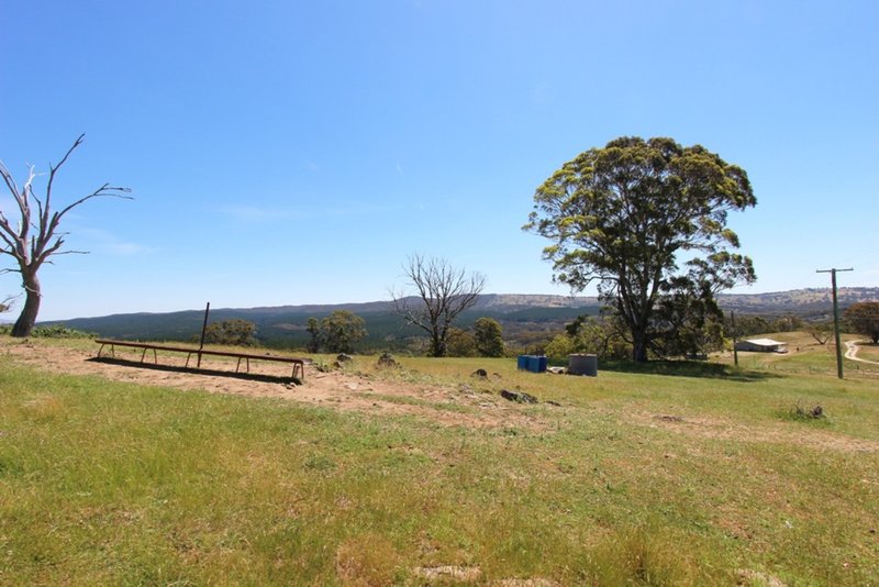 Photo - 879 Kentucky Road, Neville NSW 2799 - Image 23