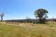 Photo - 879 Kentucky Road, Neville NSW 2799 - Image 23