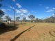 Photo - 88-90 Cowper Street, Hillston NSW 2675 - Image 3