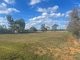 Photo - 88-90 Cowper Street, Hillston NSW 2675 - Image 4