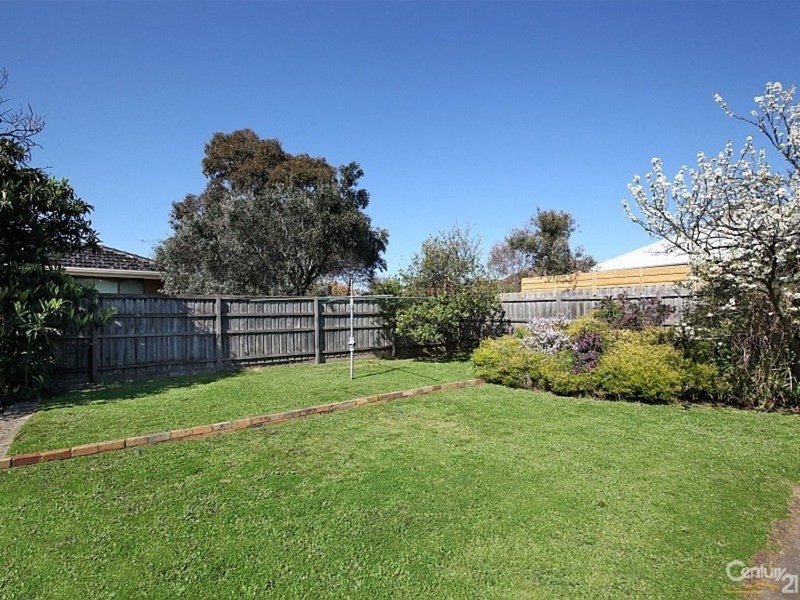 Photo - 88 Bernard Street, Cheltenham VIC 3192 - Image 6