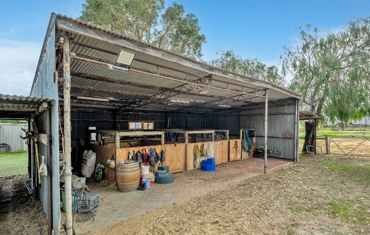 Photo - 88 Haub Road, Lake Clifton WA 6215 - Image 21