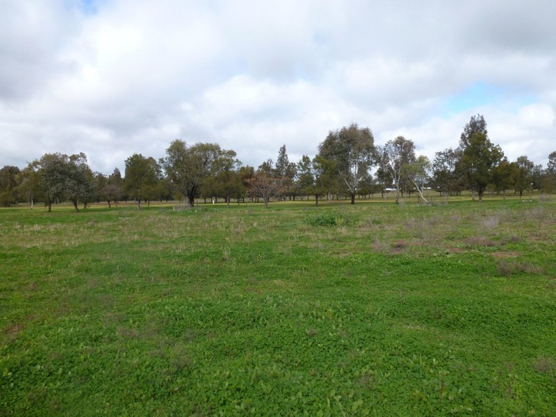 88 Lakeside Circuit, Dubbo NSW 2830