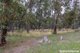 Photo - 88 Mount Haven Way, Meadow Flat NSW 2795 - Image 20