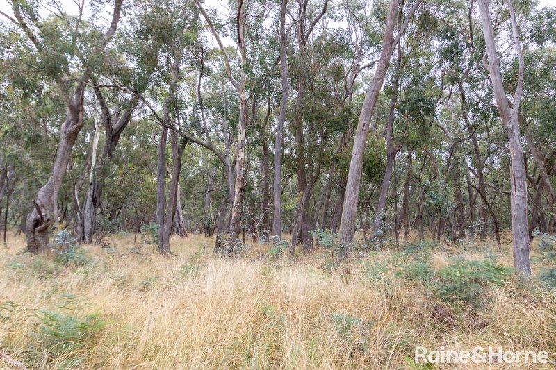 Photo - 88 Mount Haven Way, Meadow Flat NSW 2795 - Image 21