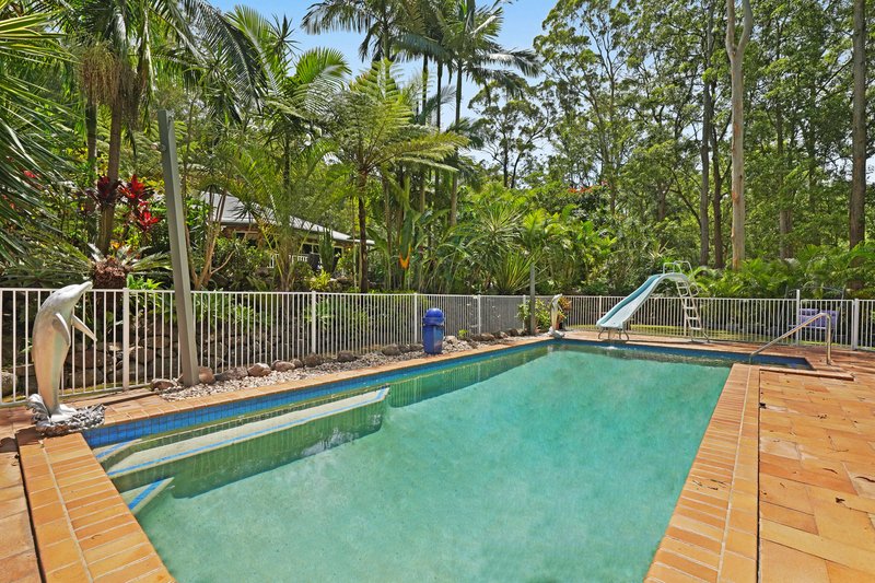 Photo - 88 Petsch Creek Road, Tallebudgera Valley QLD 4228 - Image 4