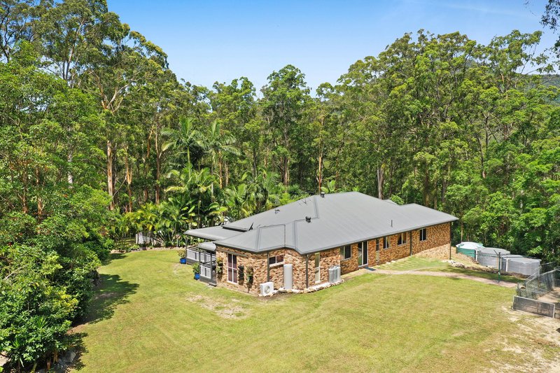 Photo - 88 Petsch Creek Road, Tallebudgera Valley QLD 4228 - Image 6