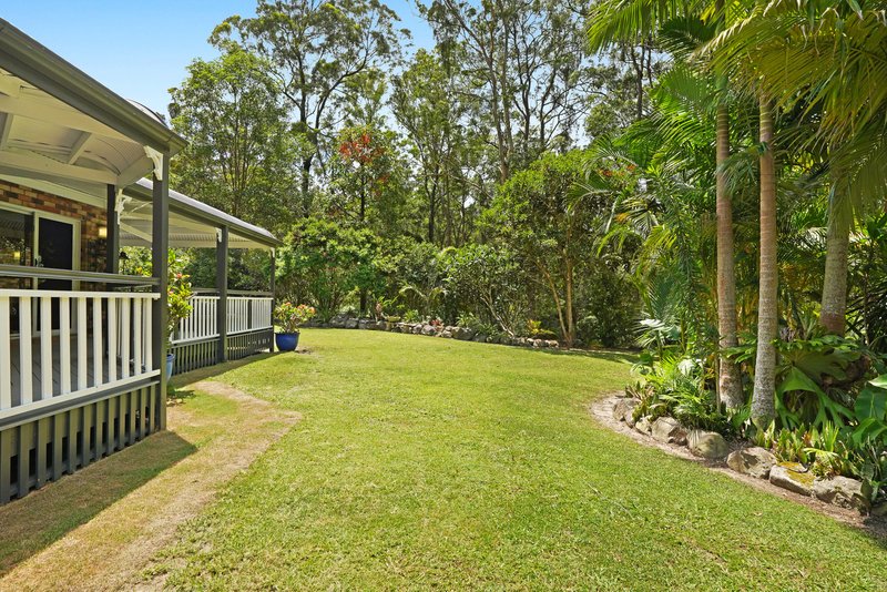 Photo - 88 Petsch Creek Road, Tallebudgera Valley QLD 4228 - Image 24