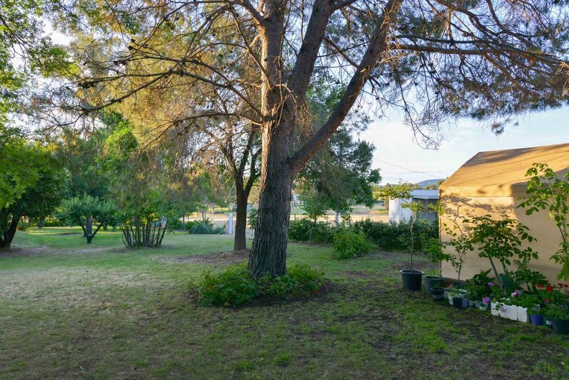 Photo - 88 Windsor Park Road, Tamworth NSW 2340 - Image 12