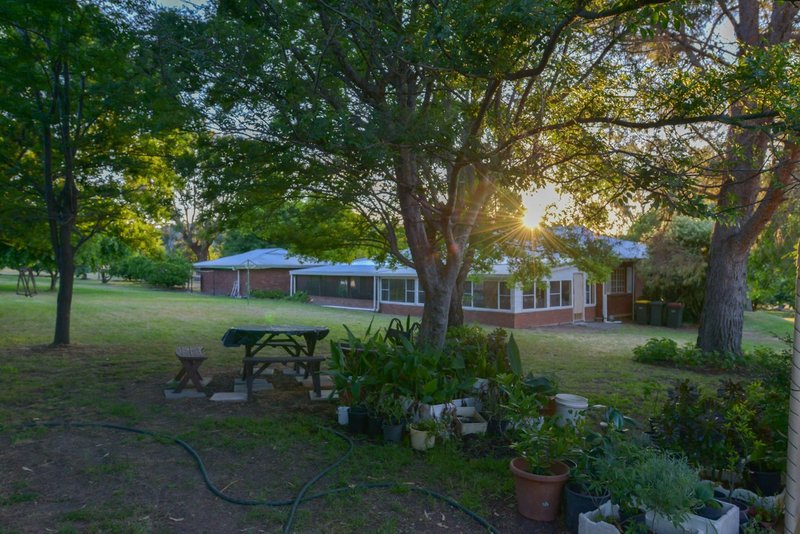 Photo - 88 Windsor Park Road, Tamworth NSW 2340 - Image 13