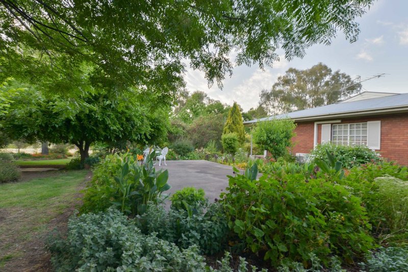 Photo - 88 Windsor Park Road, Tamworth NSW 2340 - Image 18