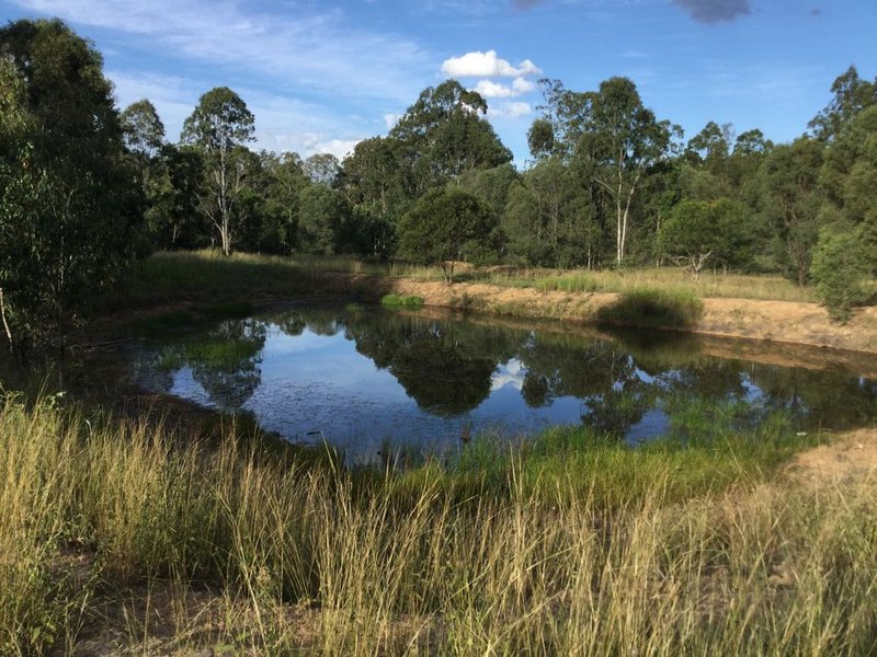 Photo - 880 Glastonbury Road, Glastonbury QLD 4570 - Image 10