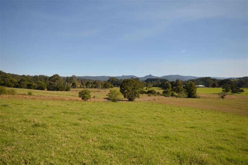 Photo - 880 Hannam Vale Road, Stewarts River NSW 2443 - Image 2