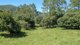 Photo - 884 Kyogle Road, Mount Warning NSW 2484 - Image 6