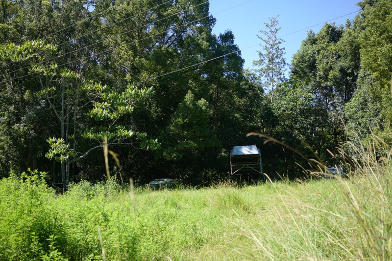 Photo - 884 Kyogle Road, Mount Warning NSW 2484 - Image 11