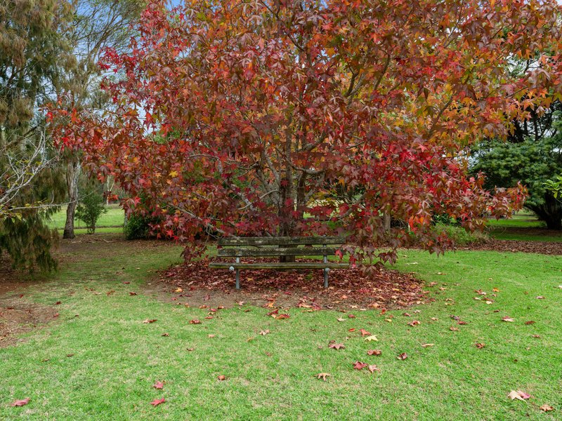 Photo - 885 Forge Creek Road, Forge Creek VIC 3875 - Image 23