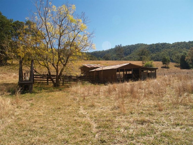 Photo - 886 Kindee Road, Kindee NSW 2446 - Image 11