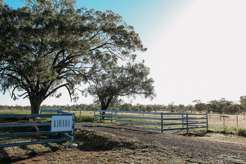 Photo - 888 Dargal Road, Roma QLD 4455 - Image 3