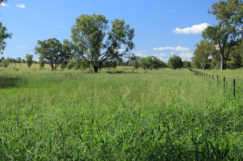 Photo - 888 Dargal Road, Roma QLD 4455 - Image 6