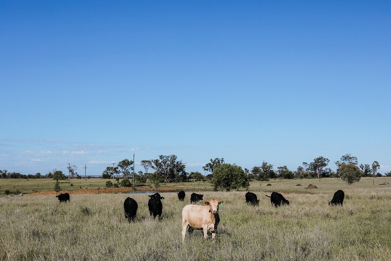 Photo - 888 Dargal Road, Roma QLD 4455 - Image 8