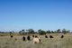 Photo - 888 Dargal Road, Roma QLD 4455 - Image 8