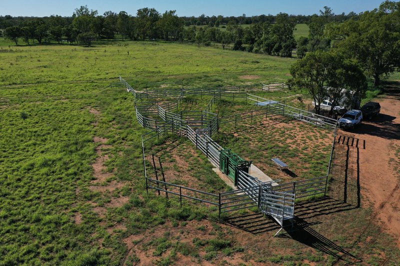 Photo - 888 Dargal Road, Roma QLD 4455 - Image 11