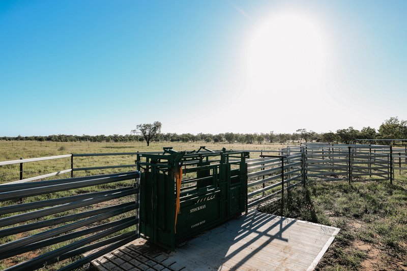 Photo - 888 Dargal Road, Roma QLD 4455 - Image 12